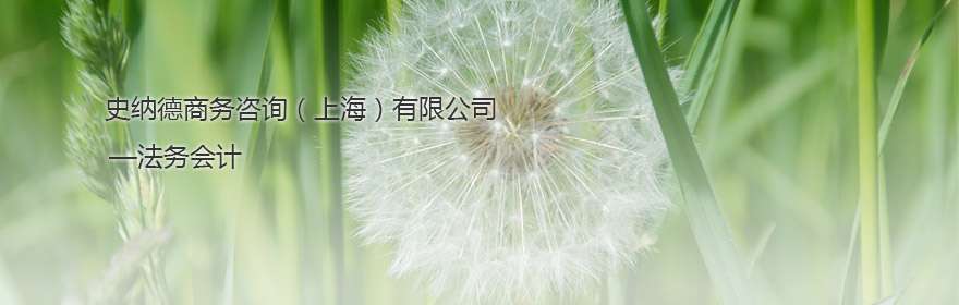 中國(guó)內(nèi)陸首家法務(wù)會(huì)計(jì)公司（營(yíng)業(yè)中斷損失）